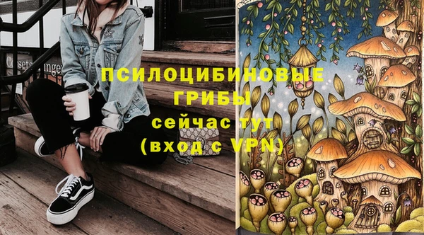мдпв Армянск