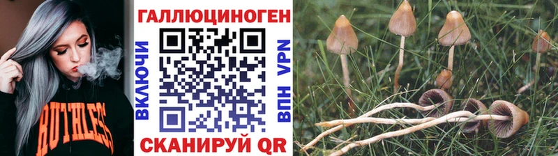 Галлюциногенные грибы GOLDEN TEACHER как найти закладки Североуральск